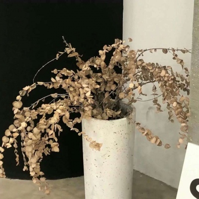 Furry创作素材整理兽圈社群